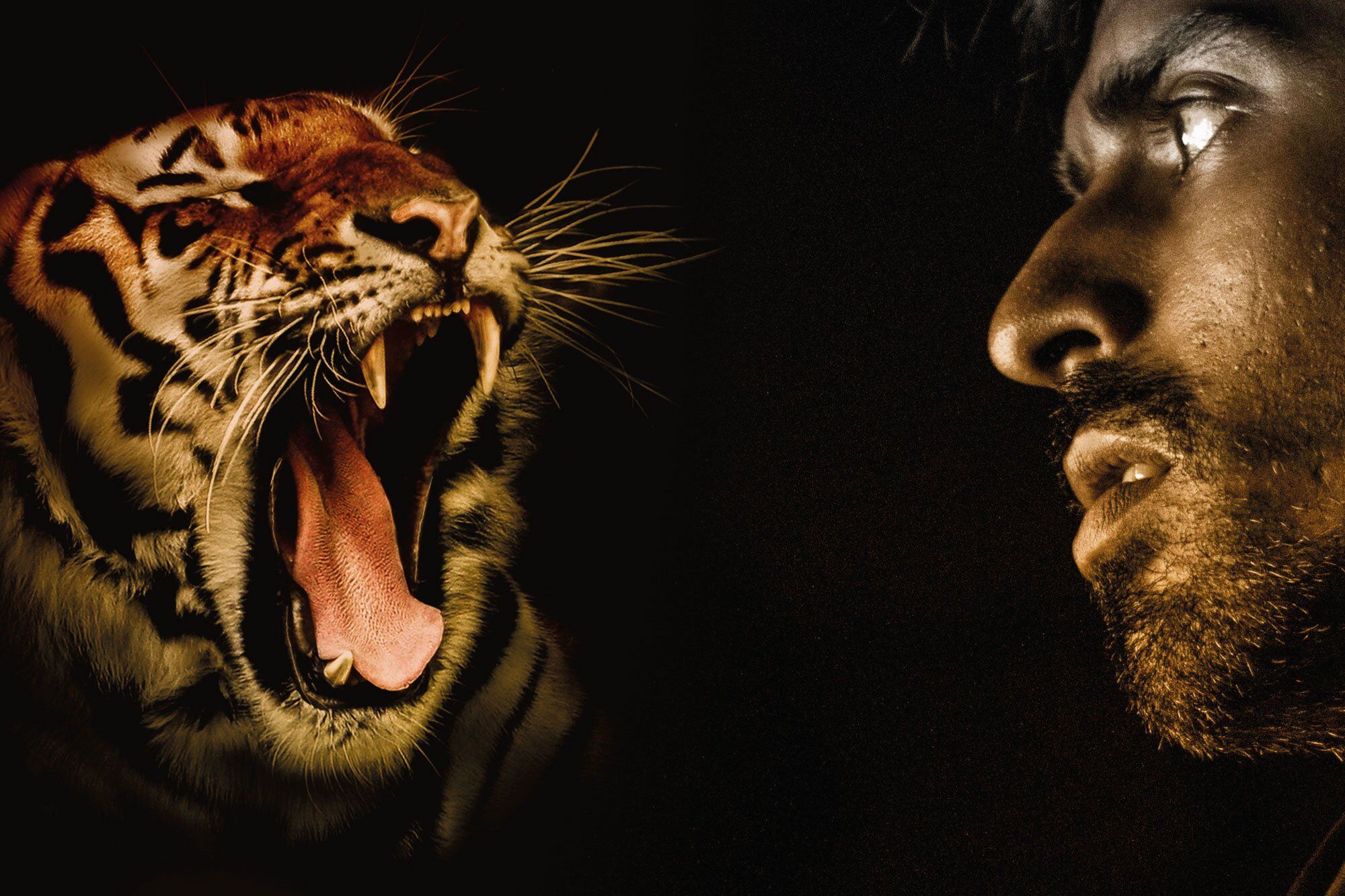 Erfahrungen aus einem Vipassana-Retreat