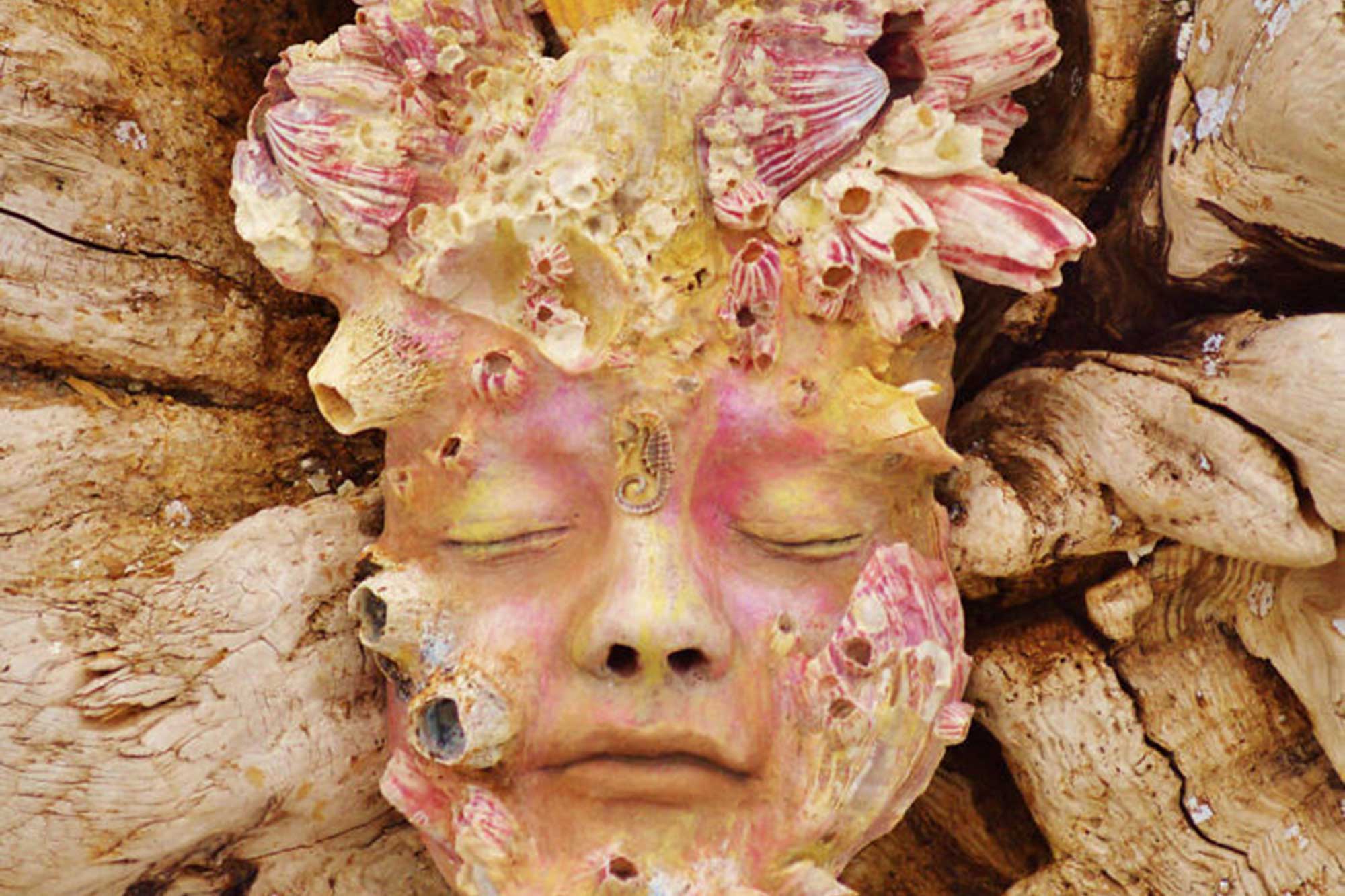 Die wahre Natur von Pflanzen und Menschen