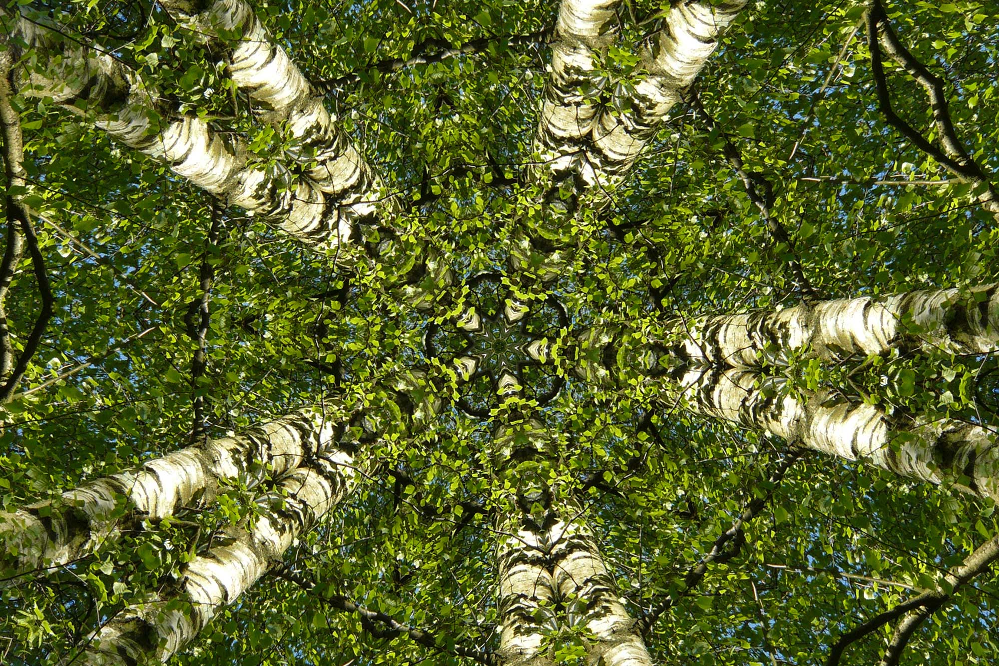 Spirituelle Ökologie